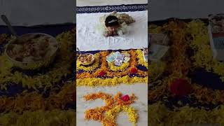 Full video in channel aadvika #annaprasanna#decoration#ytreels#ytshorts#trending#trendingshorts#cute