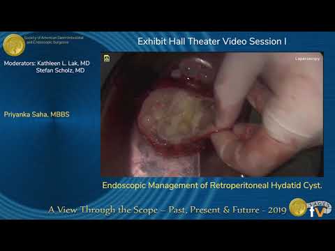 Endoscopic Management of Retroperitoneal Hydatid Cyst
