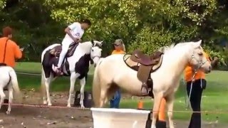 Download Lagu The Chandler Park Conservancy 1st Animal Mania Sept 2015 Part ONE Detroit, Michigan Thumbnail