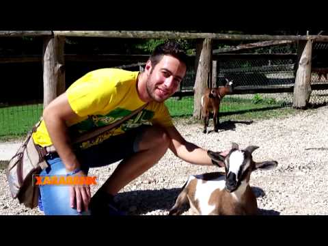 Luke Magri's story on Xarabank