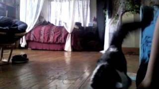 Fetch with Thunderbolt Murderface