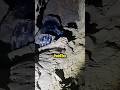 He Thought He was Cave diving Alone (@datenverbindung)