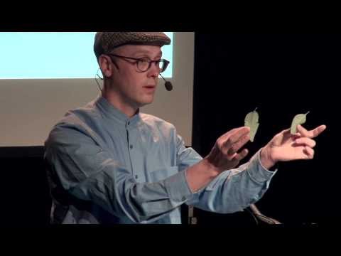 En liten serie om Lunds Humorfestival - Kringlan Svensson & Valle Westesson