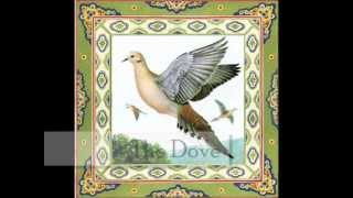 Respighi - The Birds