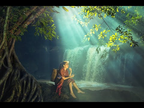 Hozd ki a napfényre a félelmet  Elengedés gyakorlat