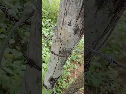 voltando da trilha da pedra redonda localizada em são bento do Trairi RN