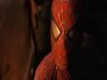 Spider Man Hero Tribute