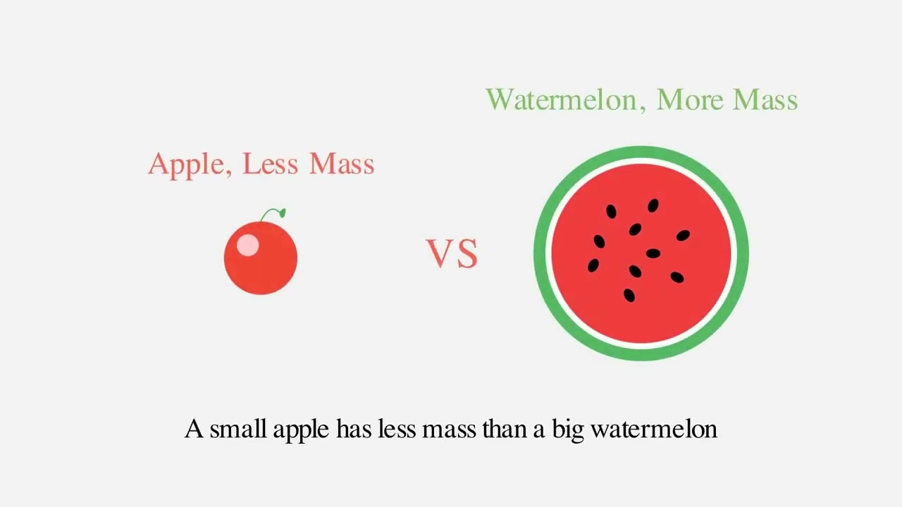 Understanding Mass for Kids | Heavy vs. Light Objects | Grade 1 Math Lesson