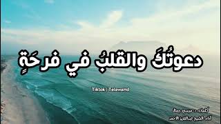 دعوتك ربي ومن لي سواك فيا ربي حقق دعاء من دعاك نشيد رائع