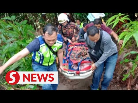 Hiker dies after falling 80m into a gorge in Batu Pahat