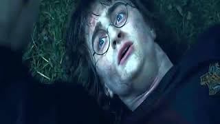 Harry fotter e il naso di Voldemort
