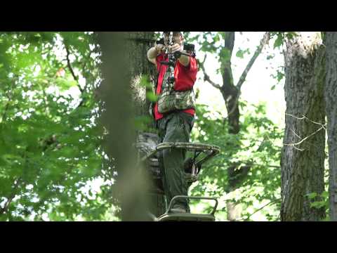 How to shoot at a deer from a tree stand