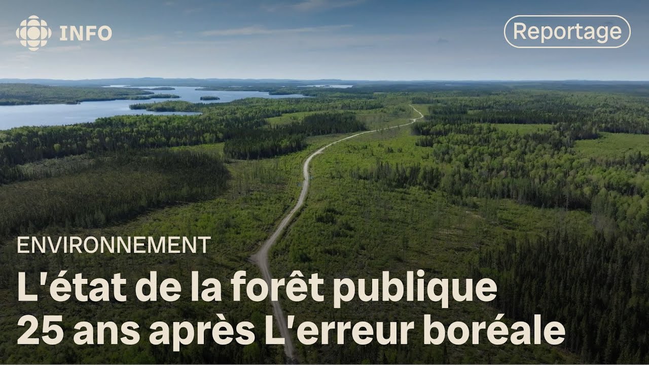 L’état de la forêt publique, 25 ans après « L’erreur boréale » | La semaine verte