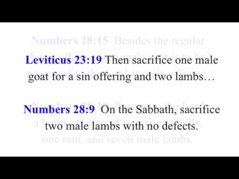 Killing animals offends or pleases God? Are pets in Heaven? Animal sacrifice in Bible, God says kill
