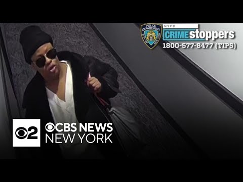 Suspect posed as cleaner in brazen Brooklyn home invasion, NYPD says