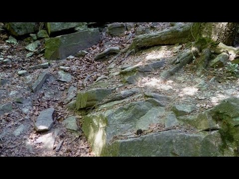 Stromy szlak na Szczebel.  Steep hiking trail up the Szczebel Mt. The Beskids, southern Poland.