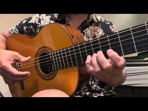 2009 Ron Bushman Brazilian Rosewood Reyes flamenco negra image 11