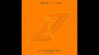 DJ Snake/Lauv - A Different Way (Noizu Remix)