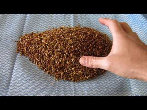 HBW #127 Easy Simcoe Pale Ale