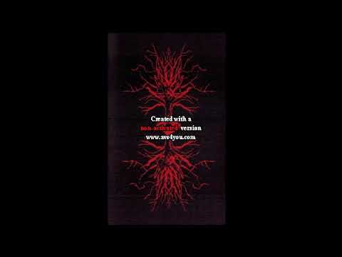 Stagnat (Unkown) + Occelensbrigg (Portugal) - Aethere Nox (Split) 2017