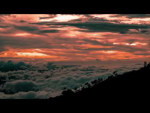 🌎 Damso x Pnl cloud rap type beat (prod purple hex)