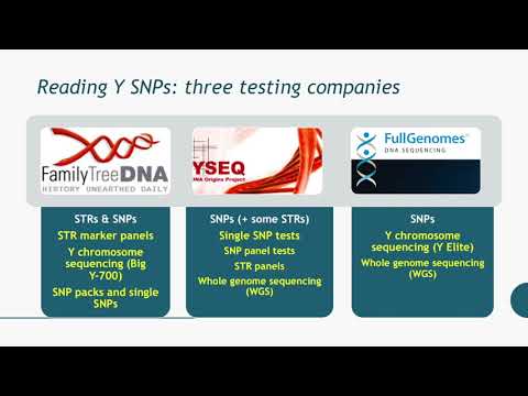 Making the Most of your Y-DNA Test (John Cleary)