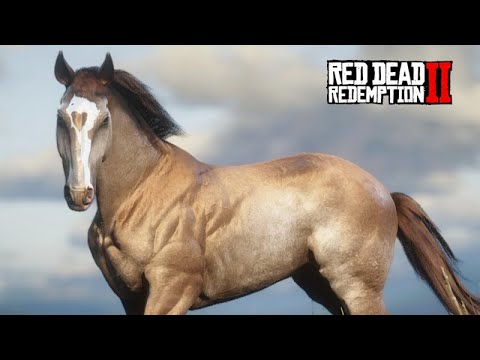 UM NOVO CAVALO PARA UM COLECIONADOR DE CAVALOS  - ep11