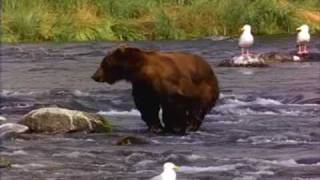 Drive By Truckers-Gravitys Gone.wmv