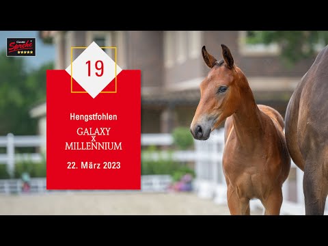 19 Hengst v. Galaxy - Millennium