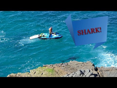 Crescent Head Malibu Classic - Over 55 final highlights