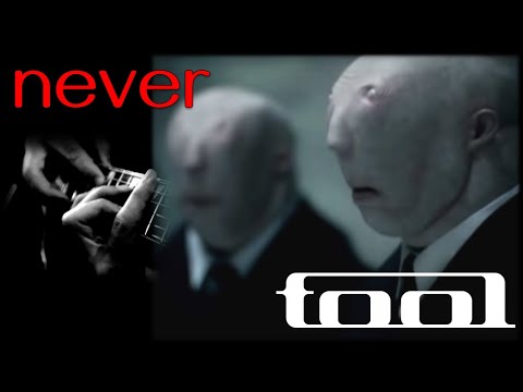 You have never heard this Tool Parabola VARIATION! cover w guitar looping