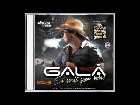 Galã do Brega –  Promocional – 2016 – Modelo – 2017