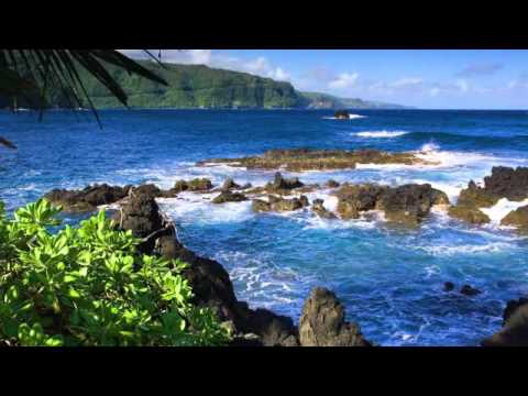 Salt Tank - Sargasso Sea