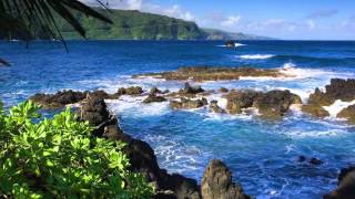 Salt Tank - Sargasso Sea