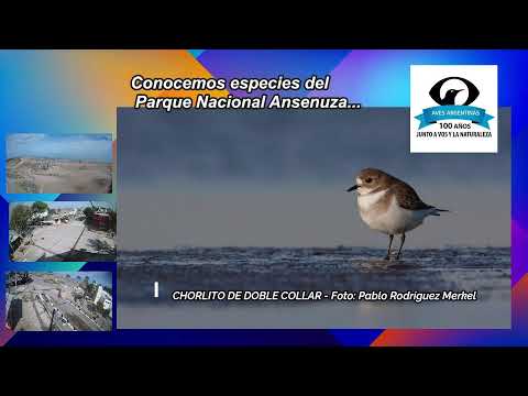 Cámaras en Vivo de Argentina. Paisajes, Clima, Documentales. Miramar, Córdoba.
