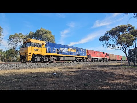 1PM6 PN up "Linfox Express #2" (NR1 NR109, 87P), Perth to Melbourne, 1740, 17/12/25, Horsham VIC 