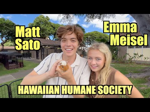 Matt Sato and Emma Meisel Visit The Hawaiian Humane Society in Honolulu, Hawaii