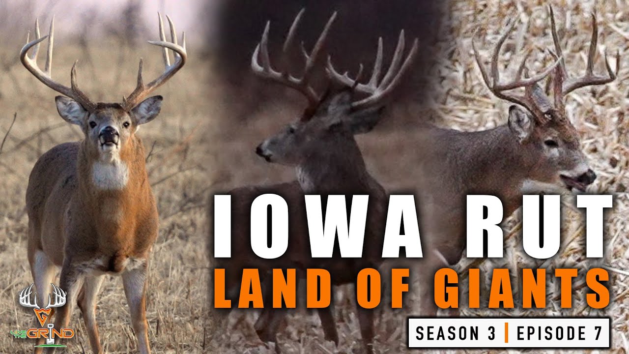 S3E7 The Land of GIANTS