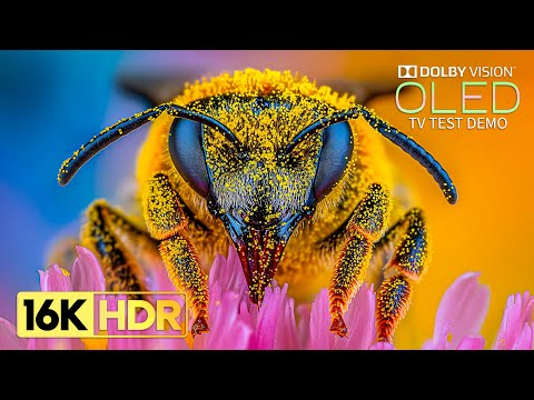 World's Most Stunning 16K HDR 120 fps | Dolby Vision (8K/4K TV)
