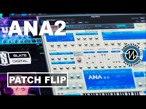 Slate Digital ANA 2 Bundle - New Packs Patch Flip