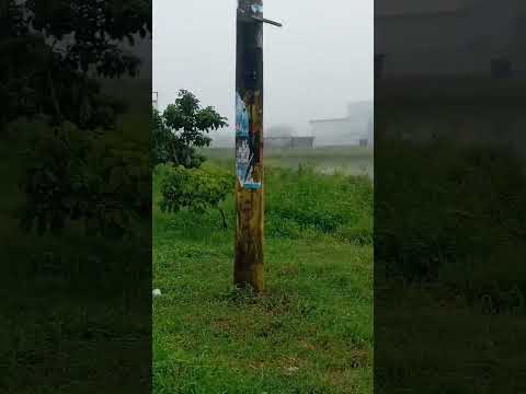 neblina Palestina - Guayas - Ecuador