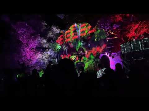 Distorted Goblin Pt.3 Sopa de Cerebro