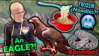 Weird Things that Happen at Snake Discovery (Shenanigans Ep. 10)