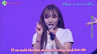 [Vietsub - Kara - Kanji] Bye Bye - Apink (3rd LIVE TOUR 2017 at Pacifico Yokohama)