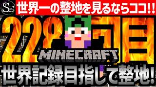 【🔴Minecraft】目指せ世界記録！整地ノルマ達成するまで今夜も眠れない‼️～228回目～