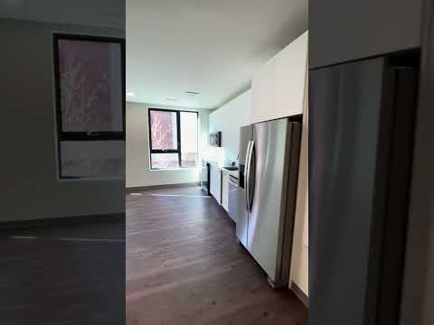Video of 166 Main St., 206, Watertown, MA 02472