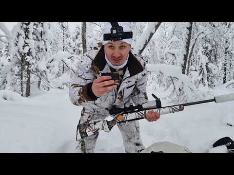 Toppfågeljakt I Norrbotten 2020/21 del2- Hunting Capercaillie and Black Grouse