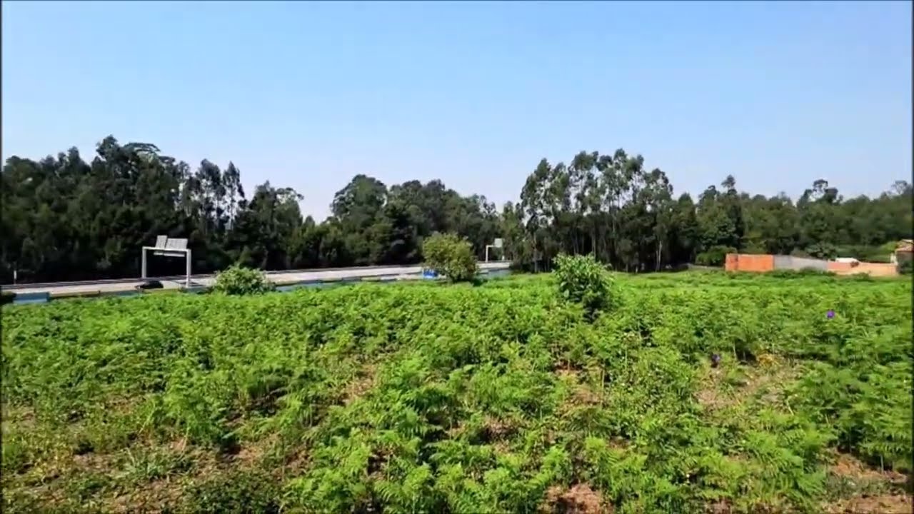 Vídeo do imóvel
