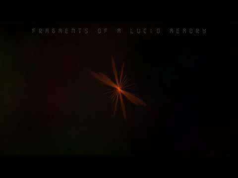 Fragments of a Lucid Memory