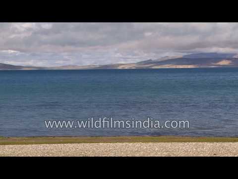 download lagu mp3 mp4 Mansarovar Altitude In Feet, download lagu Mansarovar Altitude In Feet gratis, unduh video klip Mansarovar Altitude In Feet